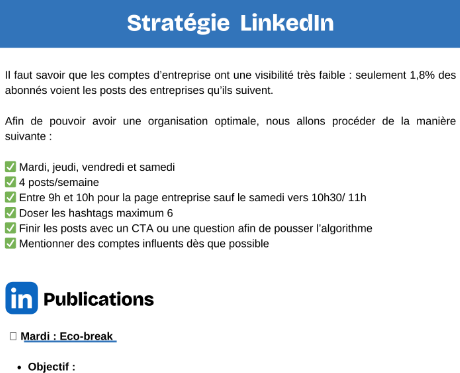 Aperçu du document de stratégie LinkedIn (extraits)